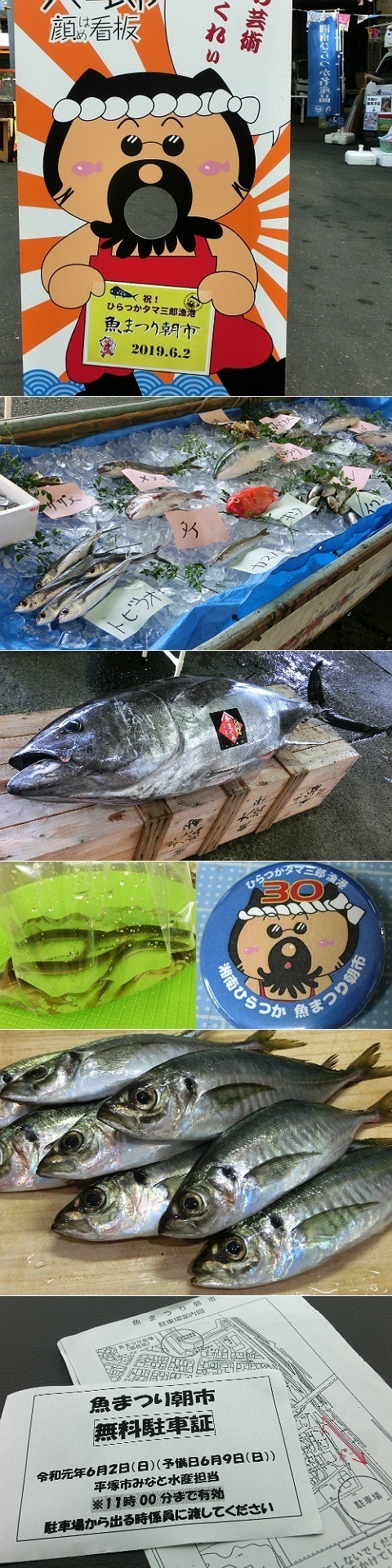 第30回湘南ひらつか魚まつり朝市