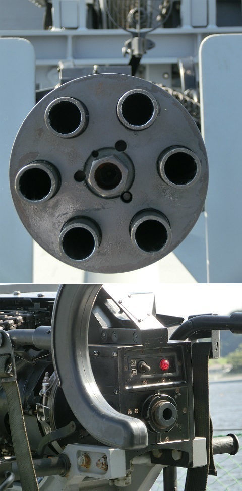 CIMG_hachijo_3.jpg