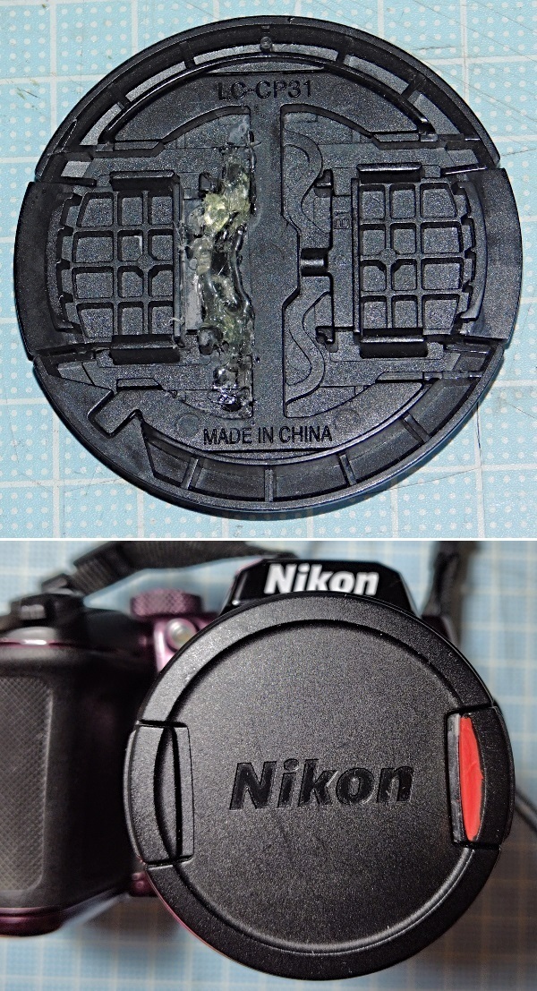 DSCN_LC-CP31.jpg