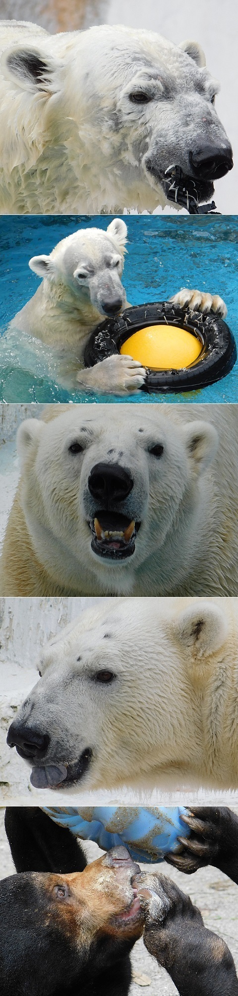 DSCN_tennoji-ZOO_2020-01.jpg