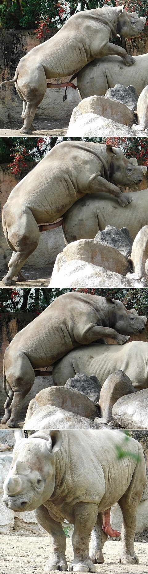 DSCN_tennoji-ZOO_2020-05.jpg