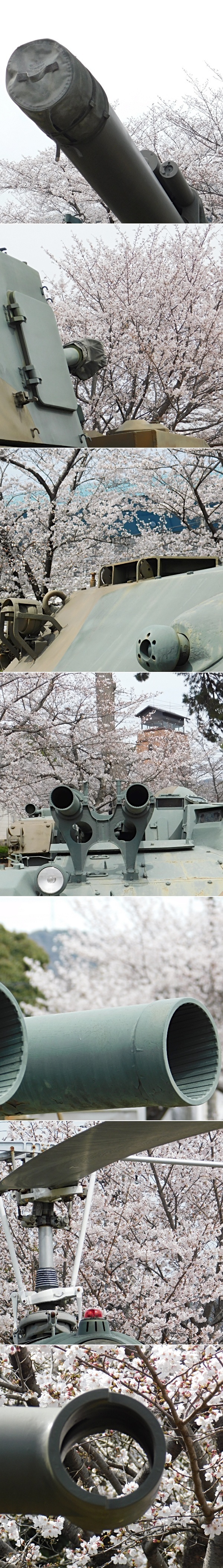 DSCN_uji202504_03.jpg