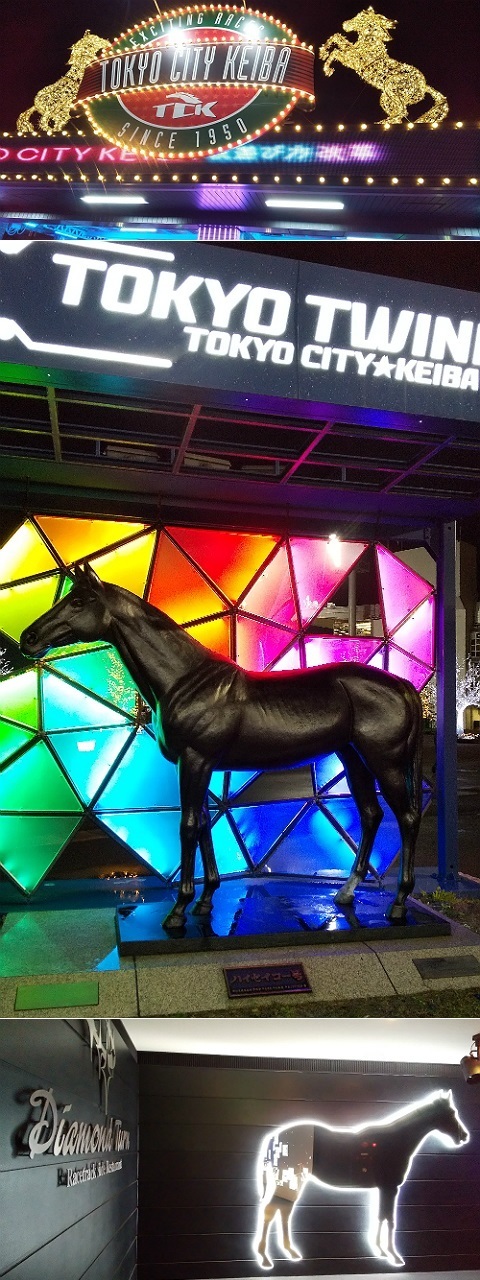 ダイアモンドターン @TCK 東京シティ競馬 その1
