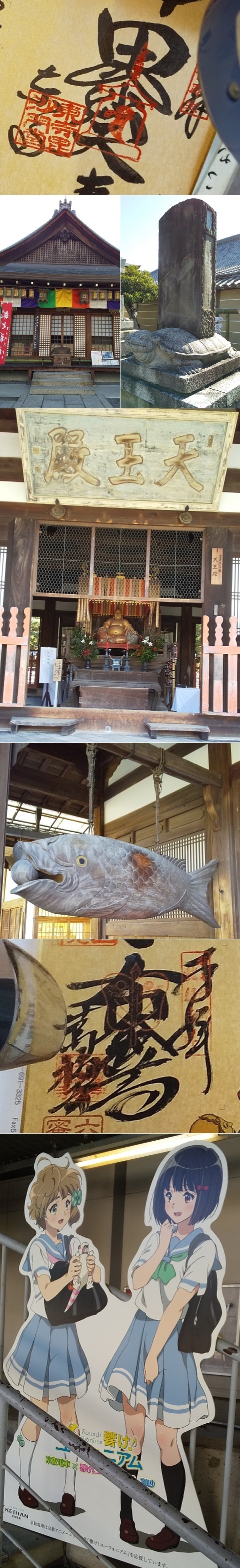 DSC_miyako7-2020_04.jpg