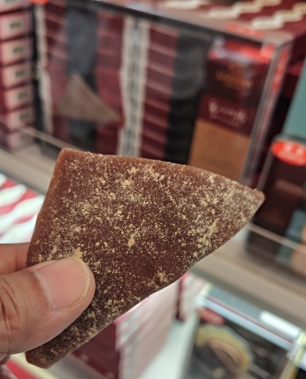 SHG_bijuuxGODIVA_kyoto-2025.jpg