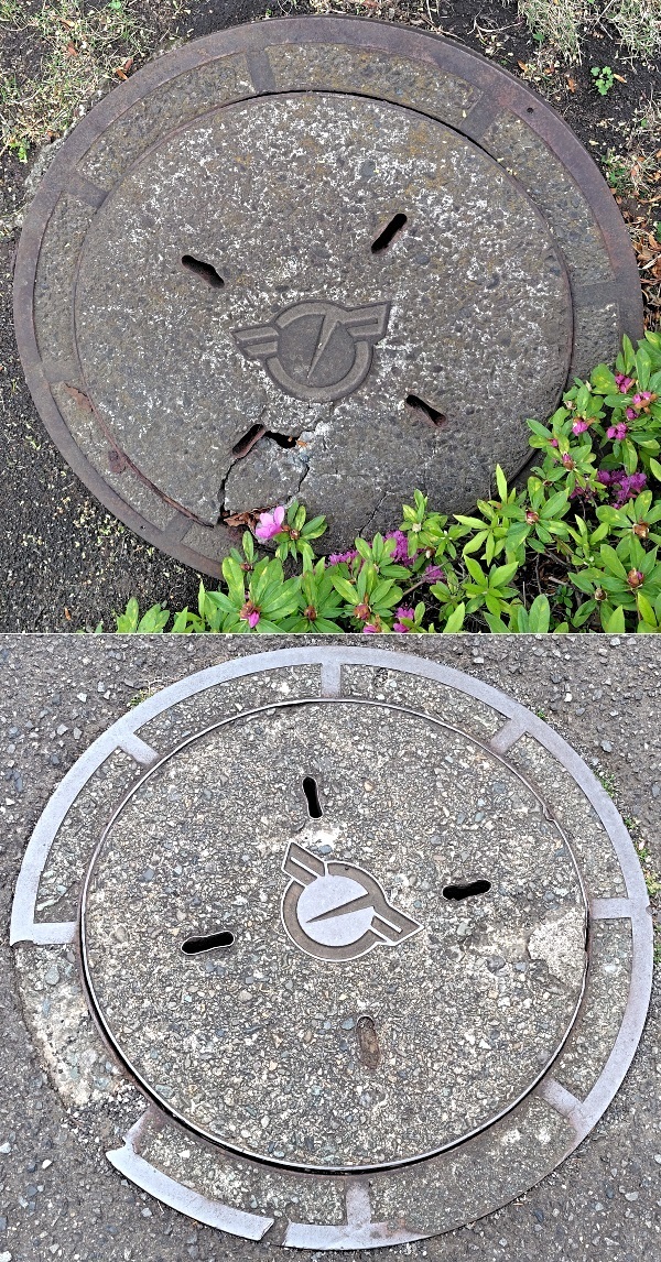 SHG_fujisawaCity-manhole.jpg